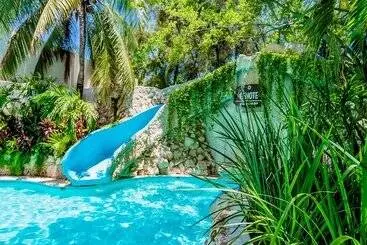 渡假胜地  Oasis Palm