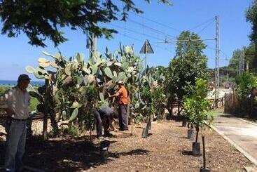 ベッドアンドブレックファースト Le Case Del Parco