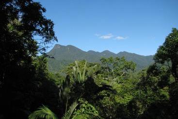 Mossman Gorge Bed And Breakfast