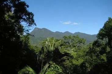 Mossman Gorge Bed And Breakfast