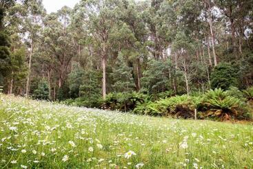 Bed and Breakfast Herons Rise Vineyard Accommodation