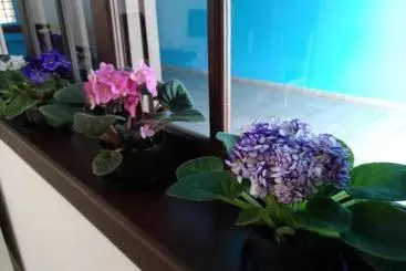 Hostel Villa Pomerânia