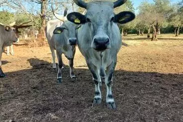 ペンション Ranch Radin