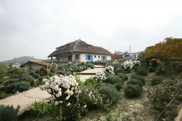 Hotel Safari Danube Delta