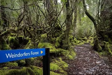 Отель Peppers Cradle Mountain Lodge