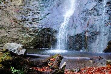 Majatalo Gästehaus Daurer