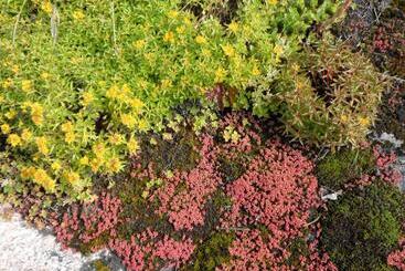 Hedesunda Bed & Breakfast