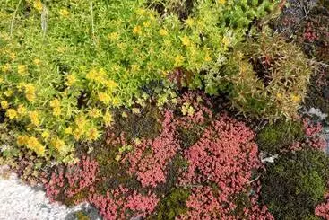 Hedesunda Bed & Breakfast