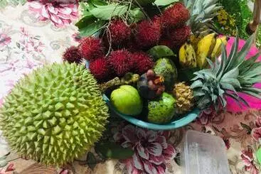 Majatalo New Toropi Homestay