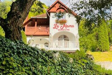 Pensiune La Mama