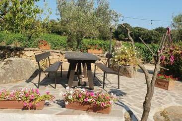 בית מלון כפרי Agriturismo Vermentino