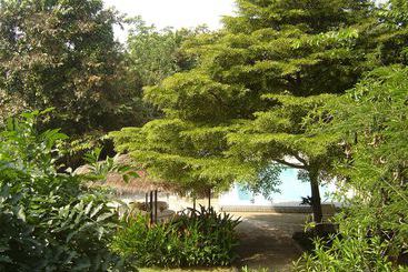 酒店 Golden Cupids