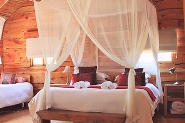 בית מלון כפרי Soetdoring Selfsorg