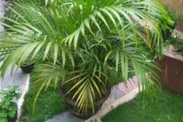 Pensão Rio Home Stay