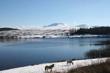 Bronfelin & Troedyrhiw Holiday Cottages