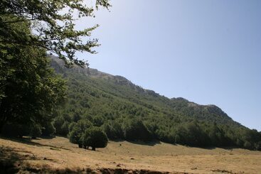 住宿加早餐  La Dimora Della Zarina