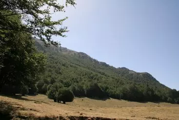 Aamiaismajoitus (B&B) La Dimora Della Zarina