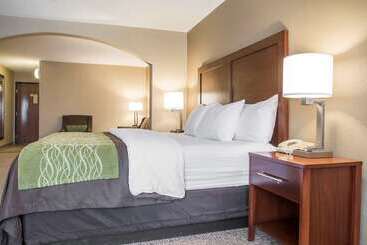 Отель Comfort Inn Edinburg South