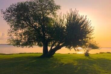 בית מלון כפרי Camp Ven