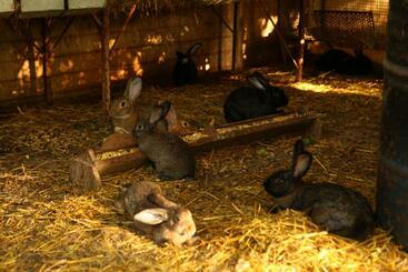 ホテル Agriturismo Il Pozzo