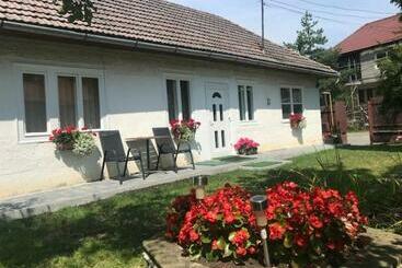 Пансион Casuta Sanatatii