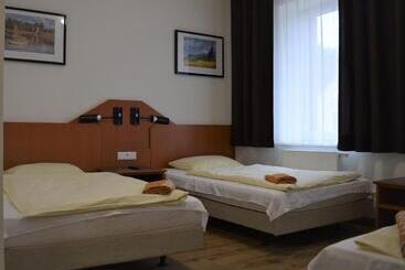 펜션 Penzion český Dvůr