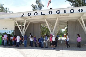 هتل Flamingo Kristal