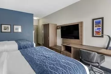 酒店 Comfort Inn & Suites Troutville   Roanoke North   Daleville