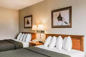 Отель Quality Inn & Suites Montrose Black Canyon Area