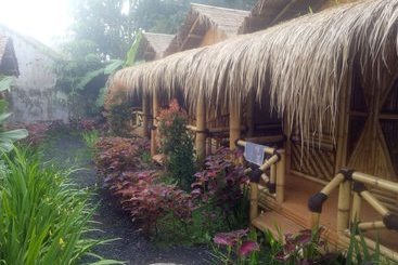 Bed and Breakfast Javana Homestay