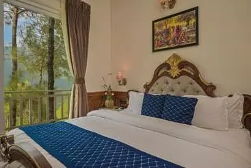 Jungle Lodge Resort