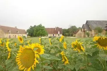 Bed & Breakfast Gite Et Chambre D Hôtes Du Guillot