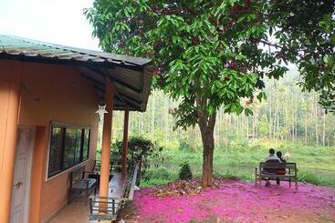 Hotell Jungle Valley Resort