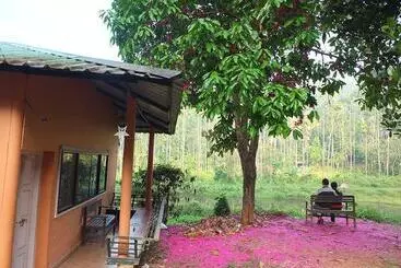 Hotel Jungle Valley Resort
