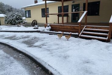 Giants Table And Cottages