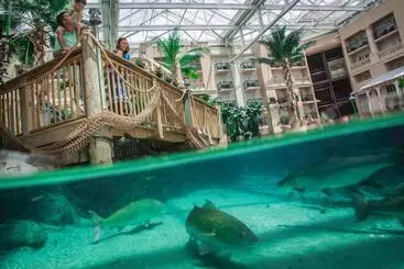 Отель Gaylord Palms Resort & Convention Center