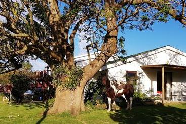 مبيت وإفطار Kei Mouth Guest Lodge