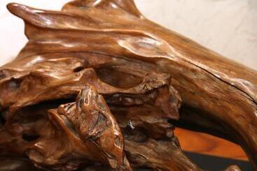 Hotell Marumo Ryokan