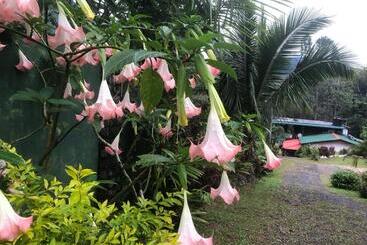 بنسيون Hamadhi Guest