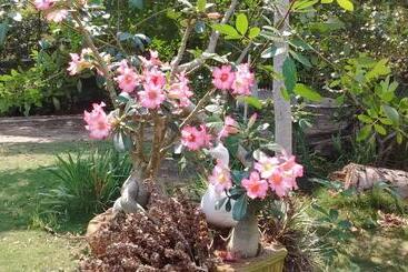 Pension Pousada Camping Porto Grande