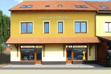 ペンション Penzion U Dulíka