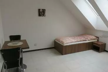 ペンション Penzion U Dulíka