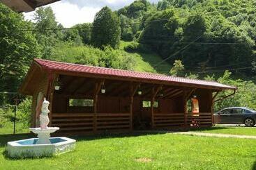 Pensiunea Silva Dobra