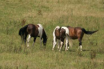 Otel Farma Zahradnice