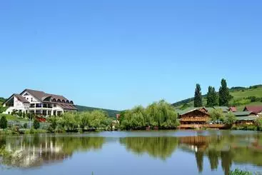 Kurort Complex Turistic Darina Sancraiu De Mures