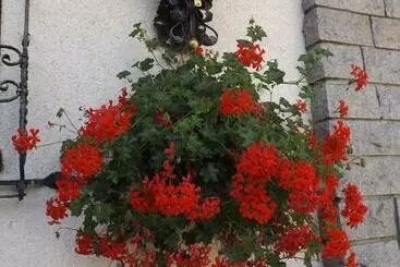 Alemannenhof Hotel Engel