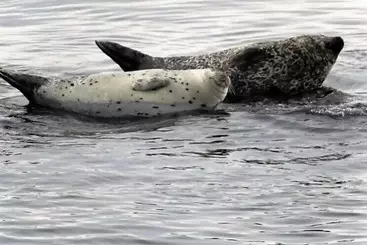 Restaurant Motel L étoile Du Nord