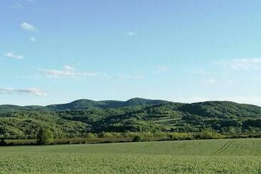 פנסיון Carolina Vendégház