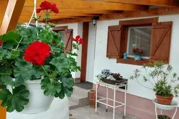 Pensiune Small House Apartment