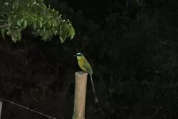 Aamiaismajoitus (B&B) Finca Cafe Bernal